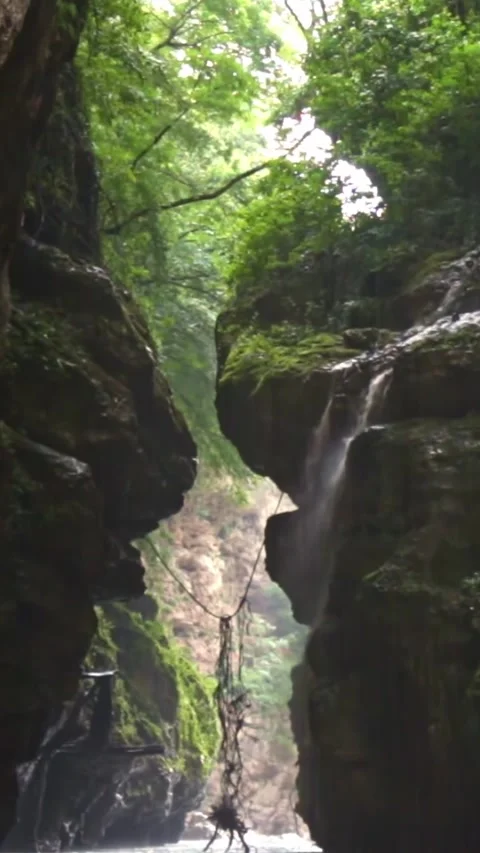 Mountain river flowing in a canyon in springtime Stock Footage 244074301