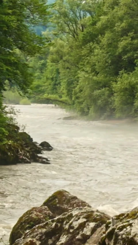Mountain river flowing in a canyon in springtime Video stock 244074372