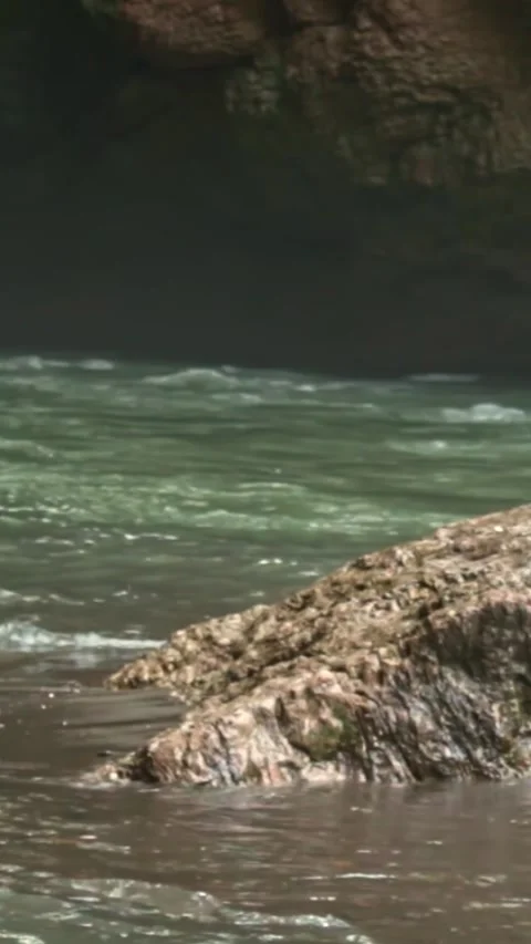 Mountain river flowing in a canyon in springtime Stock Footage 244074373