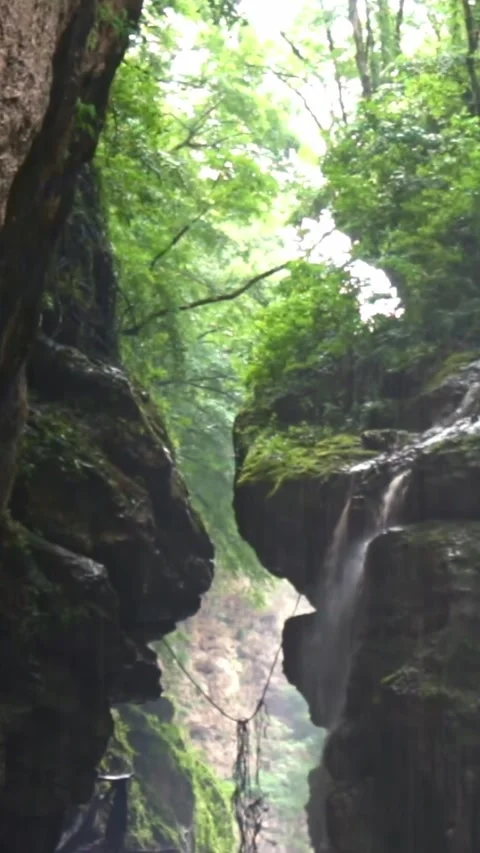 Mountain river flowing in a canyon in springtime Stock Footage 244074748