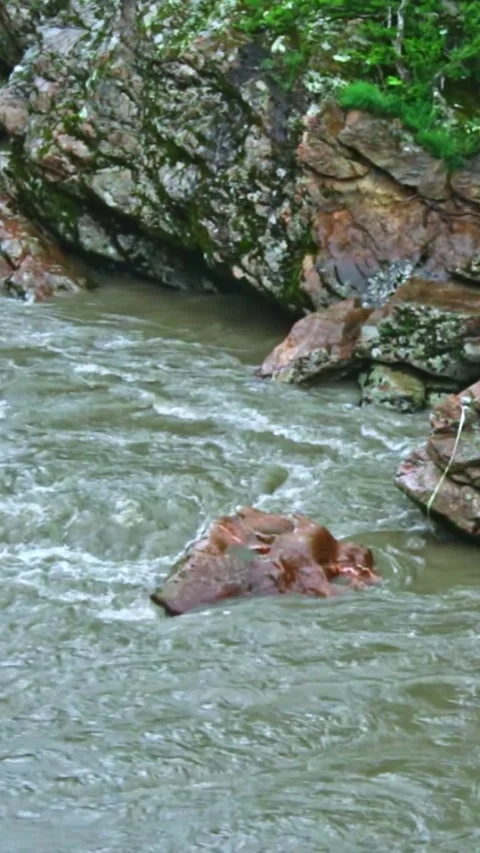 Mountain river flowing in a canyon in springtime Stock Footage 244082182