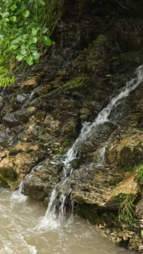 Mountain river flowing in a canyon in springtime	 Stock Footage 245072006