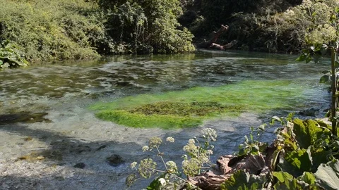Mountain river flowing. Crystal clean turquoise water flows Stock Footage 118293718