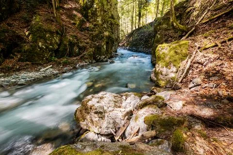 Mountain river flowing in a deep green forrest. Long exposure, water flow in  Stock Photos