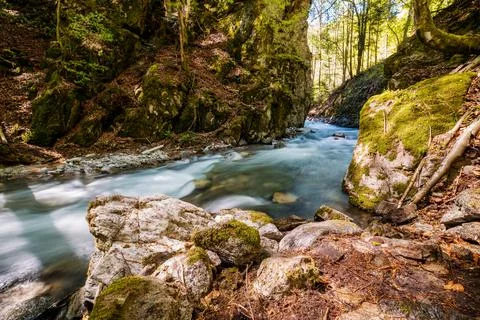 Mountain river flowing in a deep green forrest. Long exposure, water flow in  Stock Photos