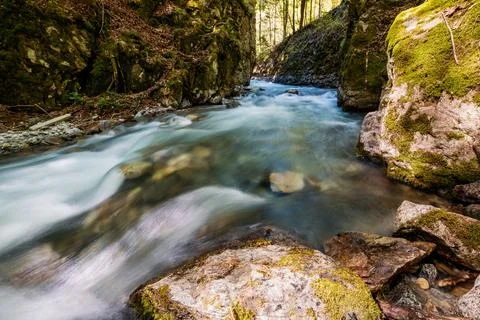 Mountain river flowing in a deep green forrest. Long exposure, water flow in  Stock Photos