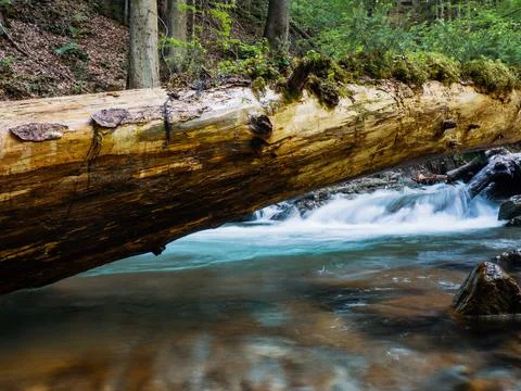 Mountain river flowing in a deep green forrest. Long exposure, water flow in  Stock Photos