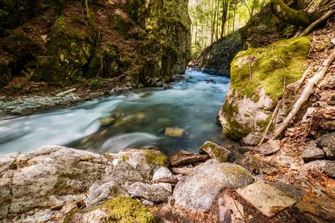 Mountain river flowing in a deep green forrest. Long exposure, water flow in  Stock Photos