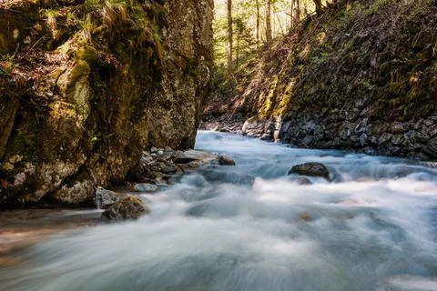 Mountain river flowing in a deep green forrest. Long exposure, water flow in  Stock Photos