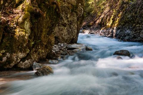 Mountain river flowing in a deep green forrest. Long exposure, water flow in  Stock Photos