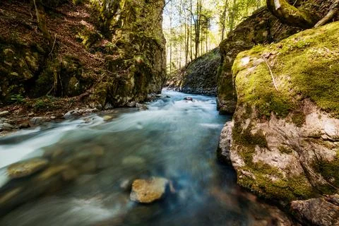 Mountain river flowing in a deep green forrest. Long exposure, water flow in  Stock Photos