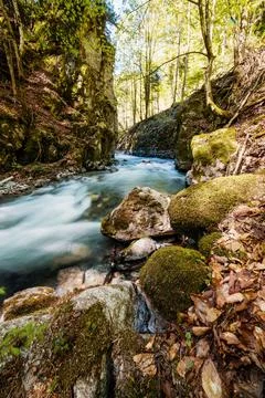 Mountain river flowing in a deep green forrest. Long exposure, water flow in  Stock Photos