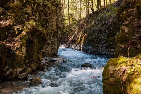 Mountain river flowing in a deep green forrest. Long exposure, water flow in  Stock Photos