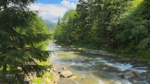 Mountain river flowing in forest. Endless meditative video. Creek flow in deep Stock Footage 245383863