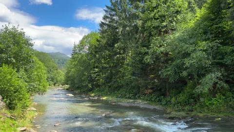 Mountain river flowing in forest. Endless meditative video. Creek flow in deep Stock Footage 252006091