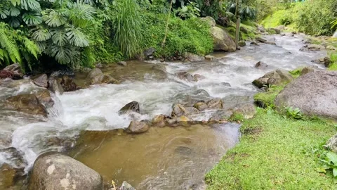 Mountain river flowing in the green forest natural background, Colombia Stock Footage 233042362