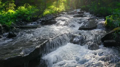 Mountain river flowing inside mysterious forest. Water splases stone rapids at Stock Footage 202592597