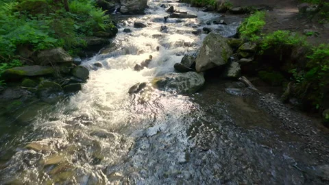 Mountain river flowing inside mysterious forest. Water splases stone rapids at Stock Footage 202593140