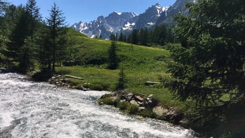 Mountain river flowing next to a pine Stock Footage 112221573
