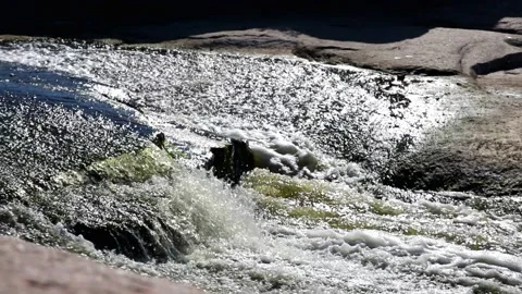Mountain river flowing over rocks and stone rapids Stock Footage 138666479