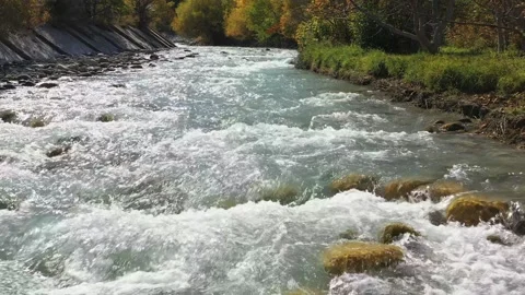 Mountain river flowing over rocks Vídeo Stock 288252080