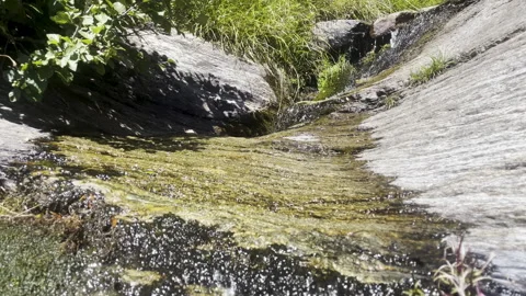 Mountain river flowing over rocks - Clear alpine stream in summer Video stock 328391243