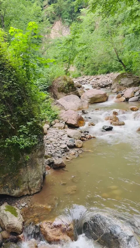 Mountain river flowing over rocks in a lush green forest Vídeos de archivo 336848986