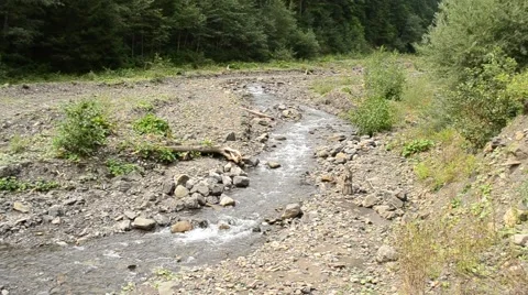 Mountain river flowing on partially dried riverbed in summer Stock Footage 55529208