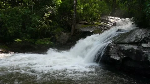Mountain river flowing in rainforest. Endless meditative video, stream in tropic Stock Footage 168181591