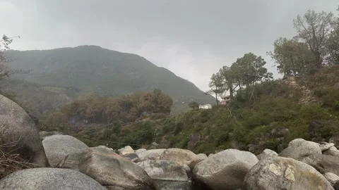 Mountain river flowing at summer forest landscape Stock Footage 276254964