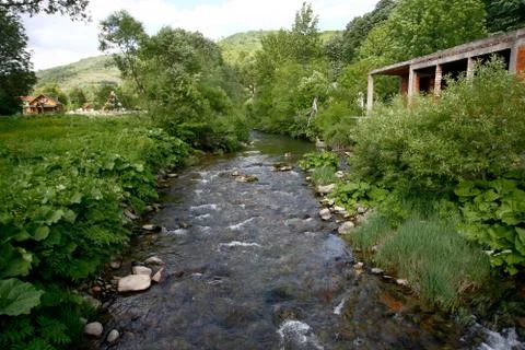 Mountain river flowing at summer forest landscape Fotos Stock