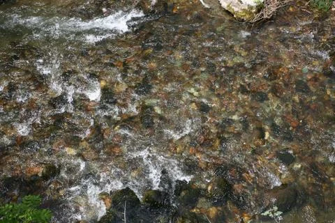 Mountain river flowing at summer forest landscape Stock Photos