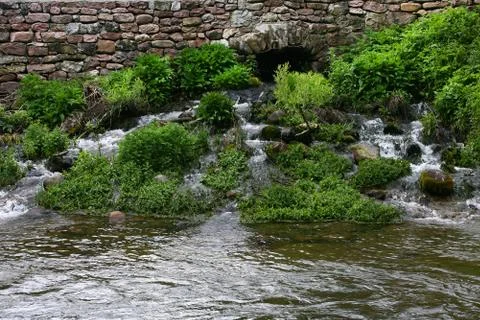Mountain river flowing at summer forest landscape Fotos de archivo