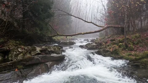 Mountain river flowing through the autumn forest. Stock Footage 142884859