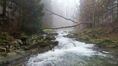 Mountain river flowing through the autumn forest. Stock Footage 142885403