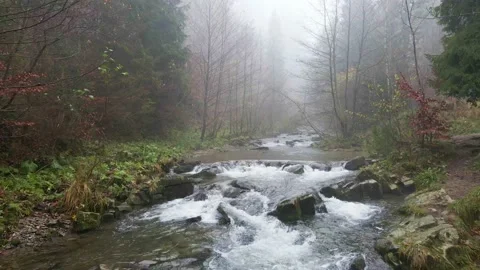 Mountain river flowing through the autumn forest. Stock Footage 142886949