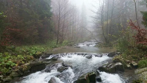 Mountain river flowing through the autumn forest. Stock Footage 142887017