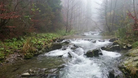 Mountain river flowing through the autumn forest. Stock Footage 142888162