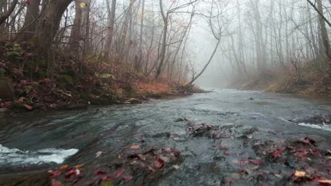 Mountain river flowing through the autumn forest. Stock Footage 142888511