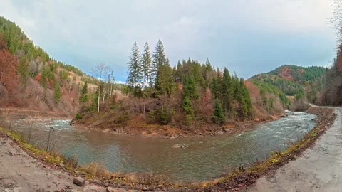 Mountain river flowing through an autumn forest valley in cloudy weather, Wide Vidéo 340410070