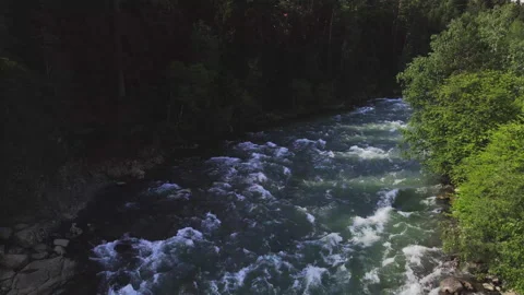 Mountain River Flowing through Coniferous Forest Stock Footage 157602190