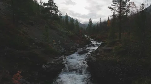 Mountain river flowing through forest drone view Stock Footage 309322170