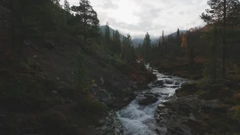 Mountain river flowing through forest valley Drone view Stock Footage 310870087