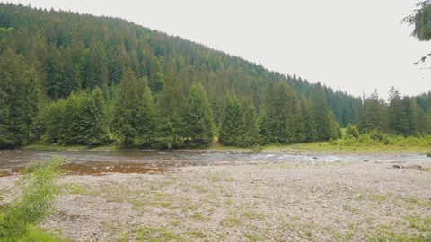 Mountain River Flowing Through Forest in the Ukrainian Carpathians Video stock 341658426