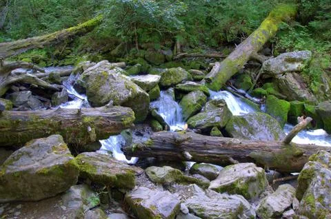 Mountain river flowing through the forest, breaking through stones and dumped Stock Photos