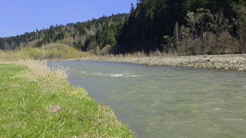 Mountain river flowing through forested landscape under clear blue sky, spring Stock Footage 308491593