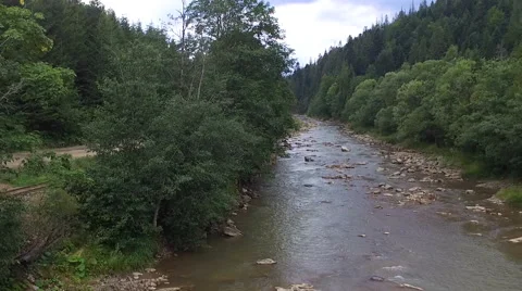 Mountain river flowing through the green forest Stock Footage 65494693