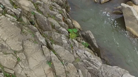 Mountain river flowing through the green forest Stock Footage 65495672