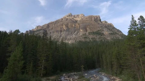 Mountain river flowing through green forest Stock Footage 99081048