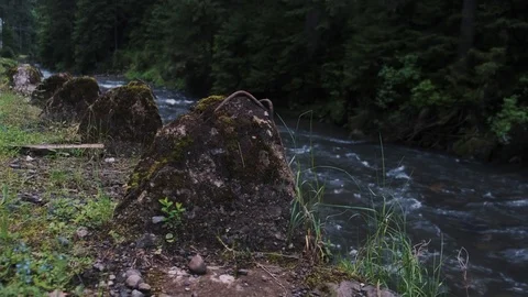 Mountain river flowing through the green forest Stock Footage 126605333